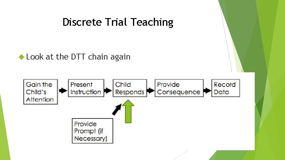 Discrete Trial Teaching Look at the DTT chain again 