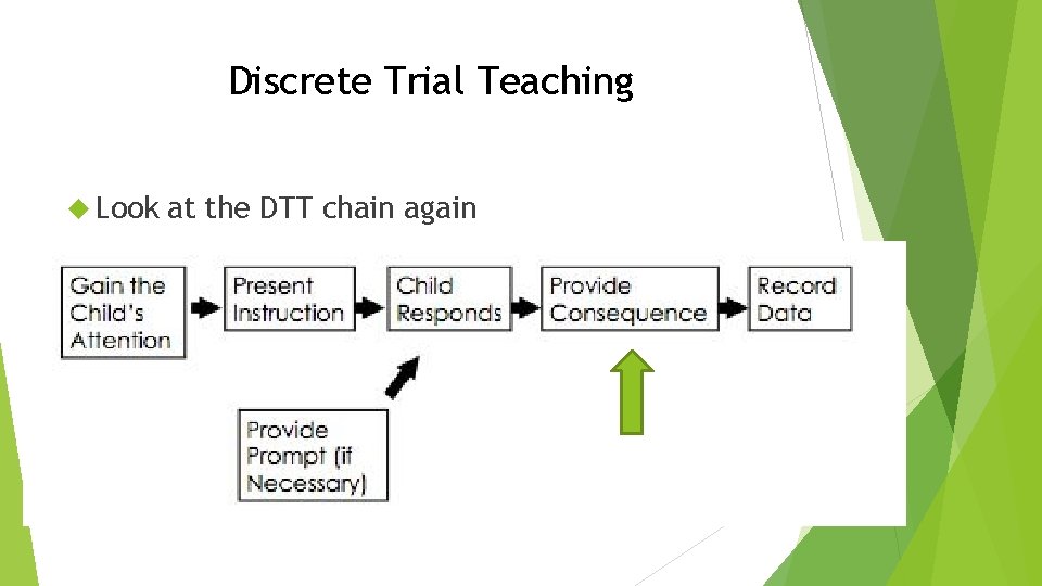 Discrete Trial Teaching Look at the DTT chain again 