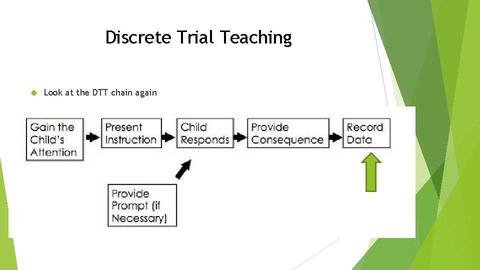 Discrete Trial Teaching Look at the DTT chain again 
