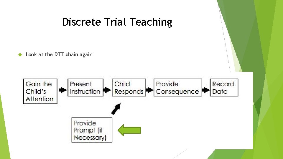 Discrete Trial Teaching Look at the DTT chain again 