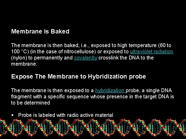 Membrane is Baked The membrane is then baked, i. e. , exposed to high