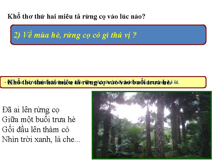 Khổ thơ thứ hai miêu tả rừng cọ vào lúc nào? 2) Về mùa