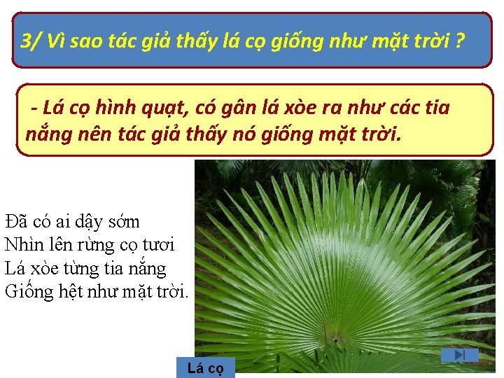 3/ Vì sao tác giả thấy lá cọ giống như mặt trời ? -