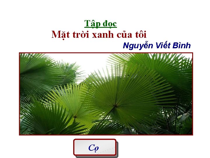 Tập đọc Mặt trời xanh của tôi Nguyễn Viết Bình Cọ 