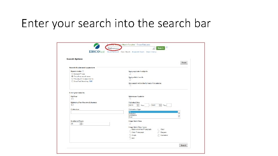 Enter your search into the search bar 