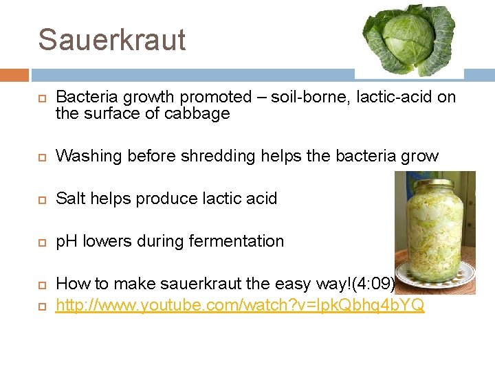 Sauerkraut Bacteria growth promoted – soil-borne, lactic-acid on the surface of cabbage Washing before