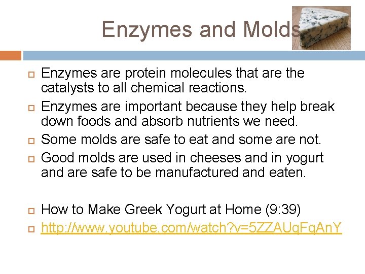 Enzymes and Molds Enzymes are protein molecules that are the catalysts to all chemical