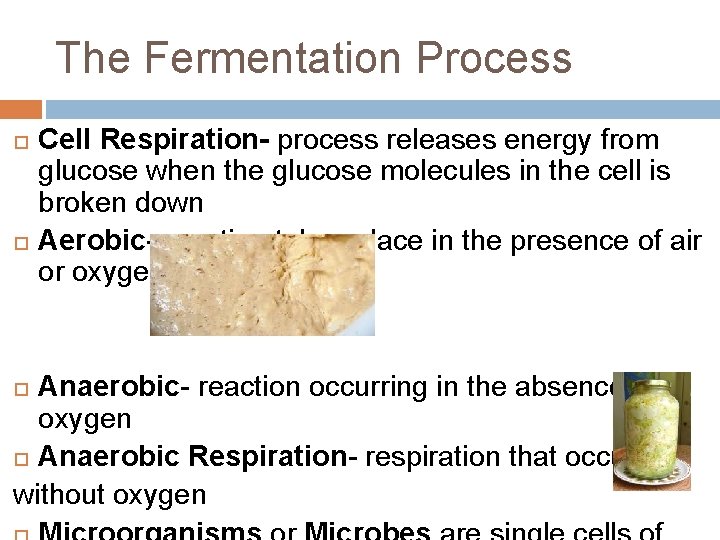 The Fermentation Process Cell Respiration- process releases energy from glucose when the glucose molecules
