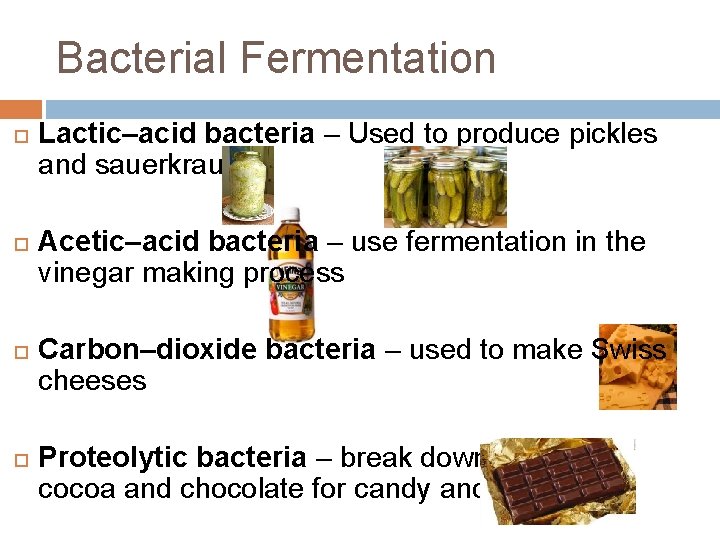 Bacterial Fermentation Lactic–acid bacteria – Used to produce pickles and sauerkraut Acetic–acid bacteria –