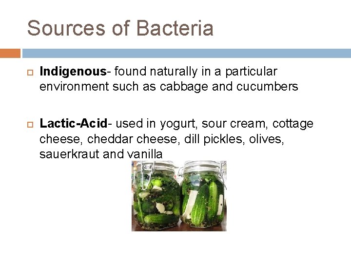 Sources of Bacteria Indigenous- found naturally in a particular environment such as cabbage and