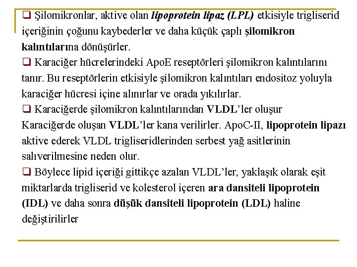 q Şilomikronlar, aktive olan lipoprotein lipaz (LPL) etkisiyle trigliserid içeriğinin çoğunu kaybederler ve daha