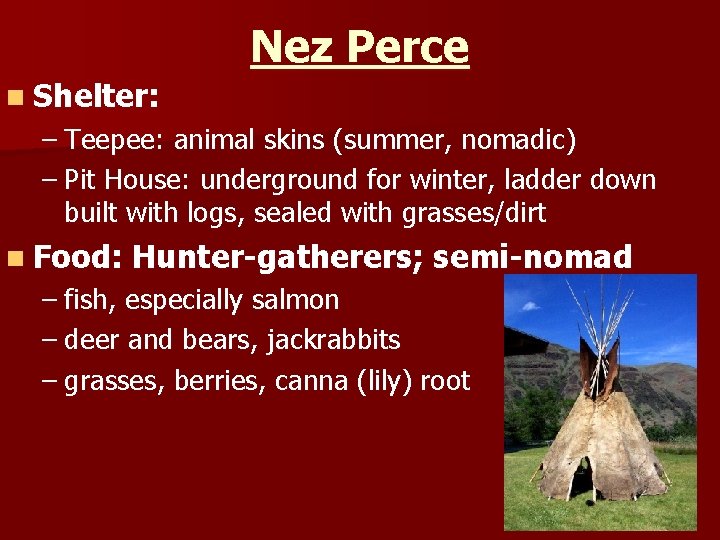 Nez Perce n Shelter: – Teepee: animal skins (summer, nomadic) – Pit House: underground