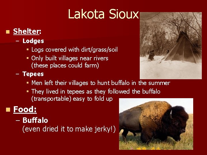 Lakota Sioux n Shelter: – Lodges § Logs covered with dirt/grass/soil § Only built