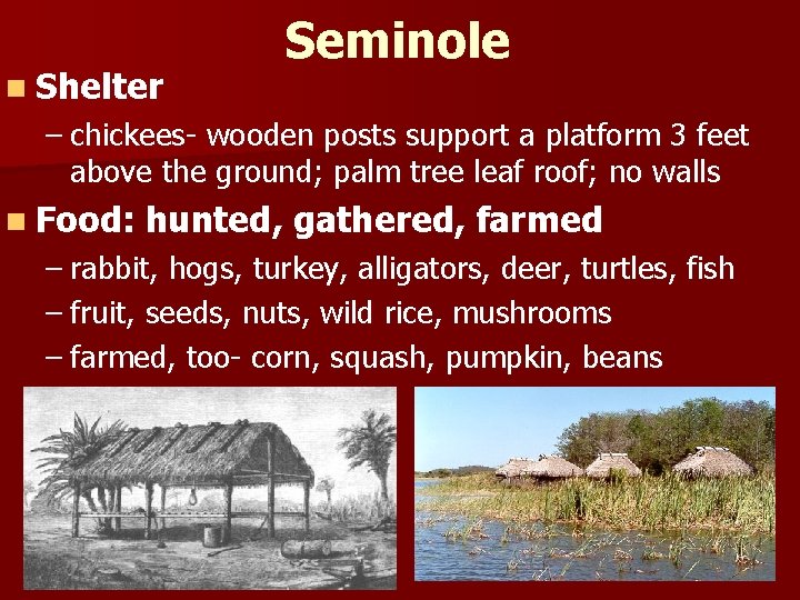 n Shelter Seminole – chickees- wooden posts support a platform 3 feet above the