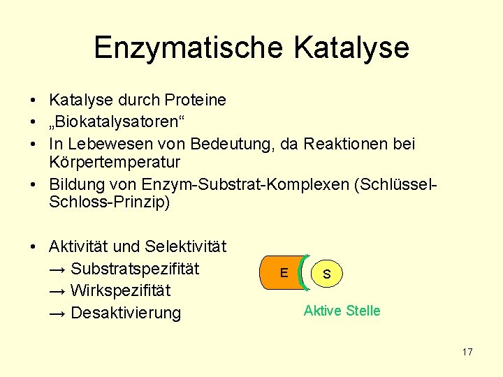Enzymatische Katalyse • Katalyse durch Proteine • „Biokatalysatoren“ • In Lebewesen von Bedeutung, da