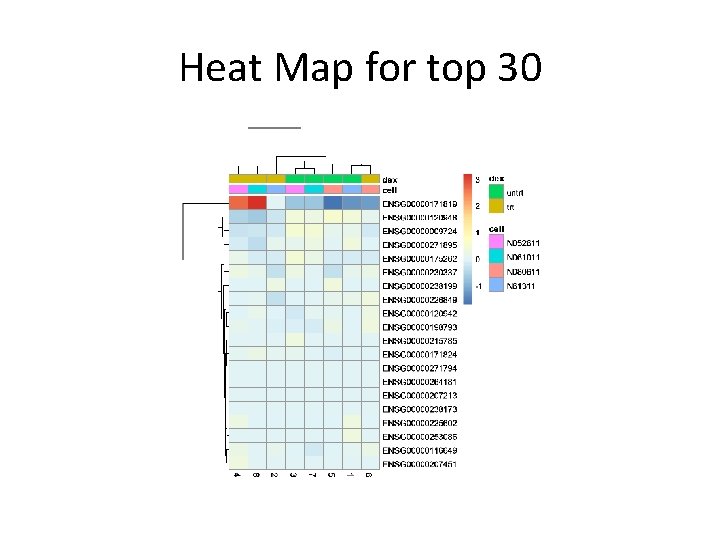 Heat Map for top 30 