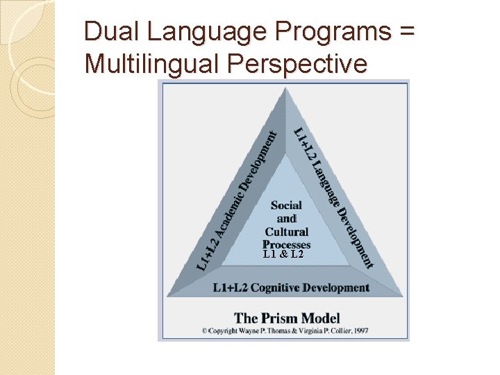 Dual Language Programs = Multilingual Perspective L 1 & L 2 