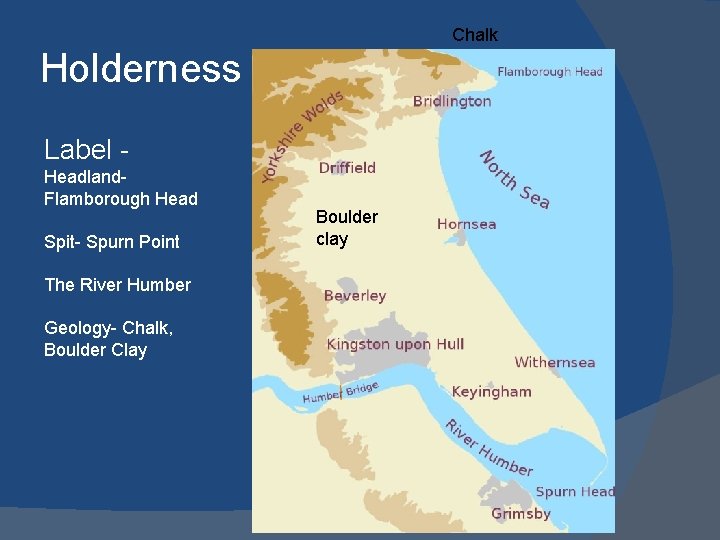 Chalk Holderness Label Headland- Flamborough Head Spit- Spurn Point The River Humber Geology- Chalk,