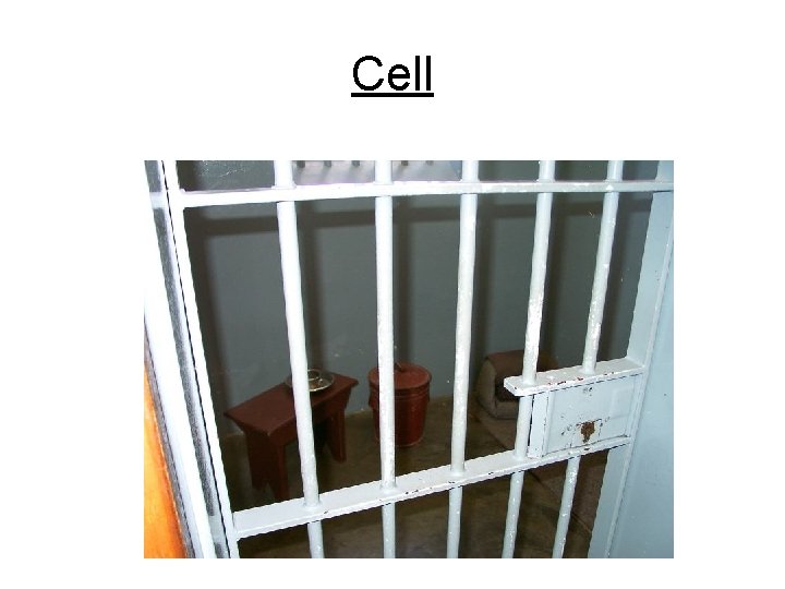 Cell 