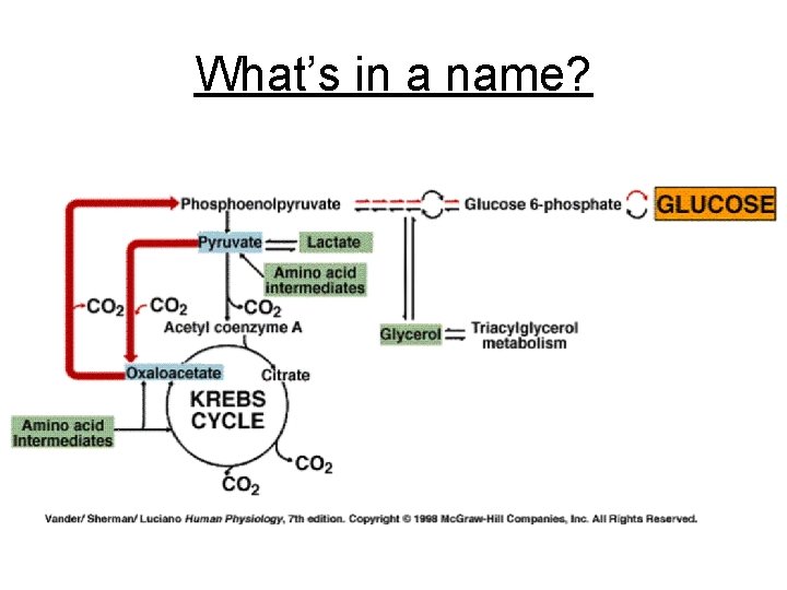 What’s in a name? 