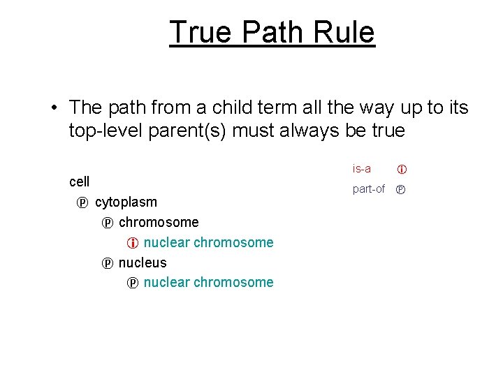 True Path Rule • The path from a child term all the way up