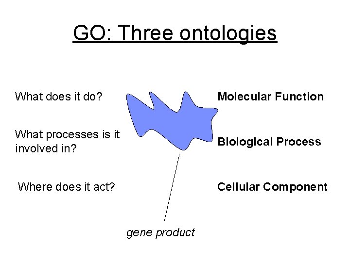 GO: Three ontologies What does it do? Molecular Function What processes is it involved