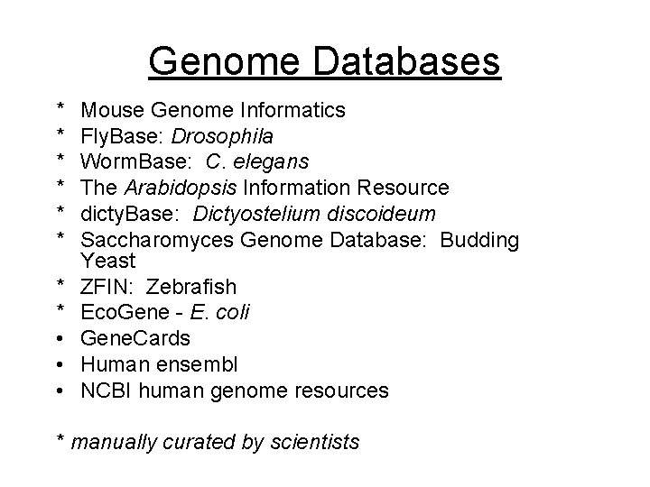 Genome Databases * * * * • • • Mouse Genome Informatics Fly. Base: