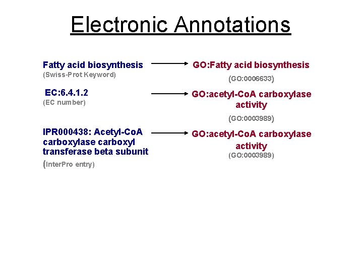 Electronic Annotations Fatty acid biosynthesis GO: Fatty acid biosynthesis (Swiss-Prot Keyword) (GO: 0006633) EC: