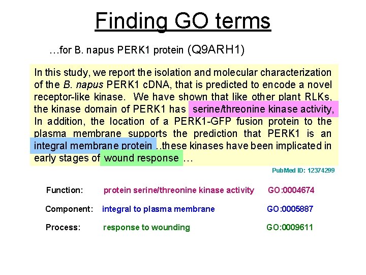 Finding GO terms …for B. napus PERK 1 protein (Q 9 ARH 1) In