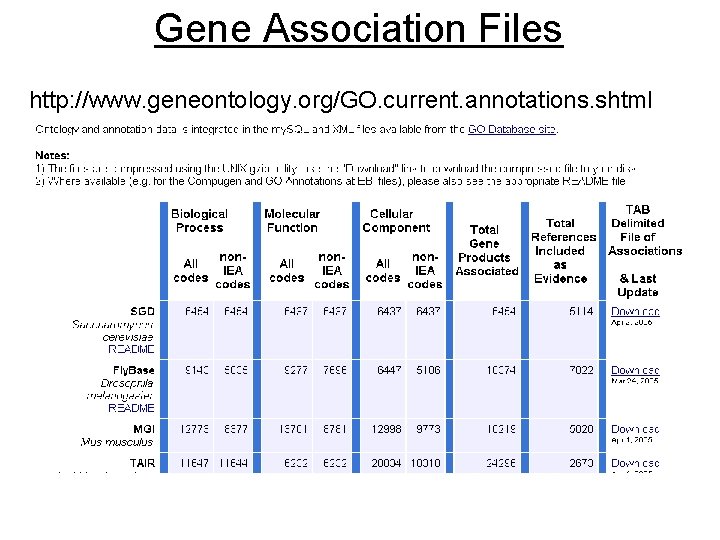 Gene Association Files http: //www. geneontology. org/GO. current. annotations. shtml 