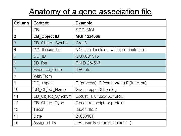 Anatomy of a gene association file Column Content Example 1 DB SGD, MGI 2