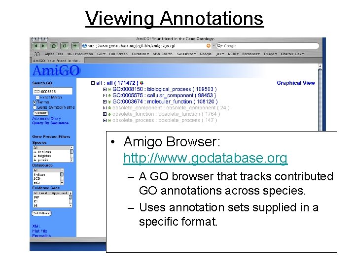 Viewing Annotations • Amigo Browser: http: //www. godatabase. org – A GO browser that