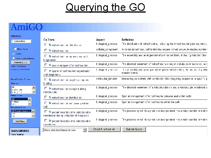 Querying the GO 