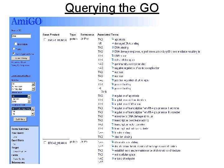 Querying the GO 