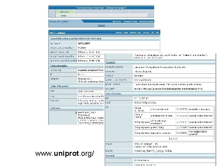 www. uniprot. org/ 