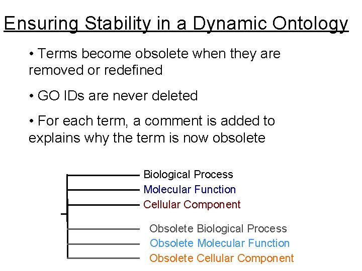 Ensuring Stability in a Dynamic Ontology • Terms become obsolete when they are removed