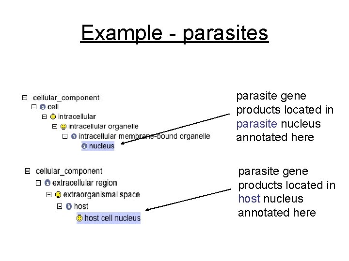 Example - parasites parasite gene products located in parasite nucleus annotated here parasite gene