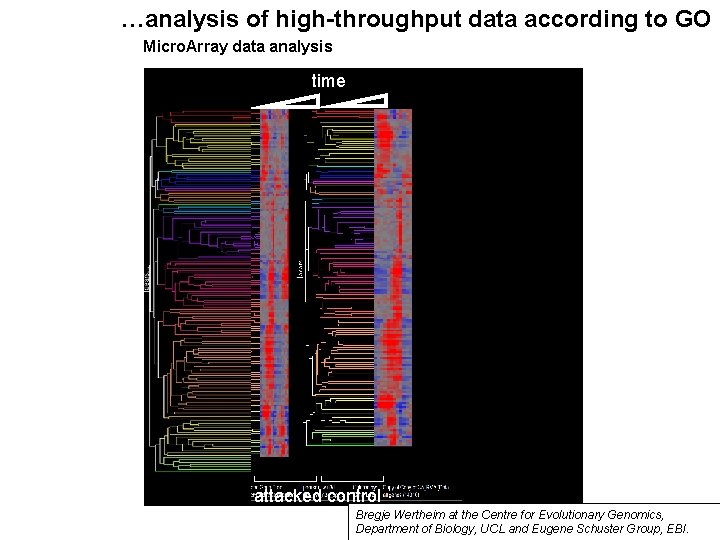 …analysis of high-throughput data according to GO Micro. Array data analysis time Defense response