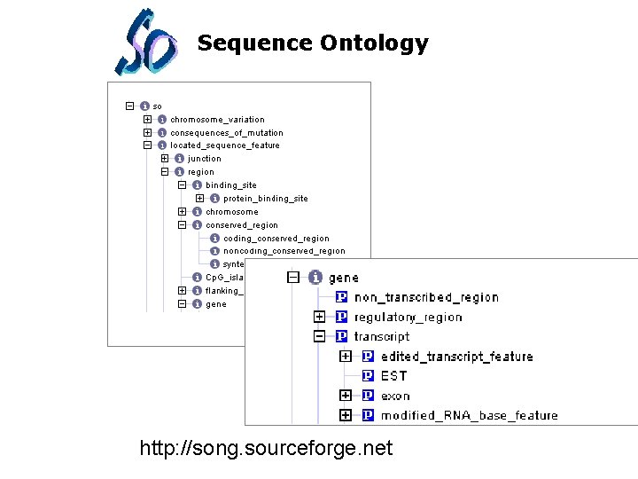 Sequence Ontology http: //song. sourceforge. net 