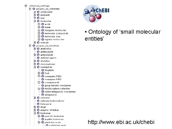  • Ontology of ‘small molecular entities’ http: //www. ebi. ac. uk/chebi 