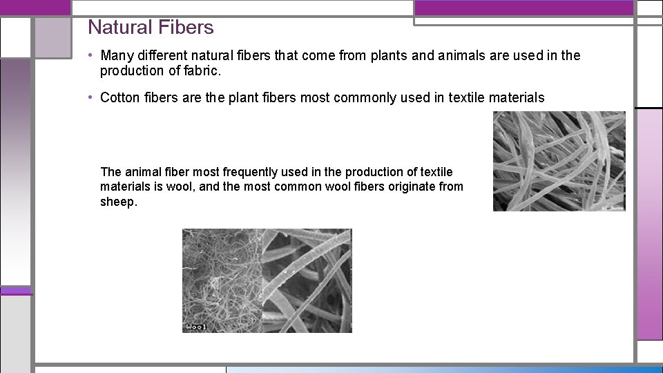 Natural Fibers • Many different natural fibers that come from plants and animals are