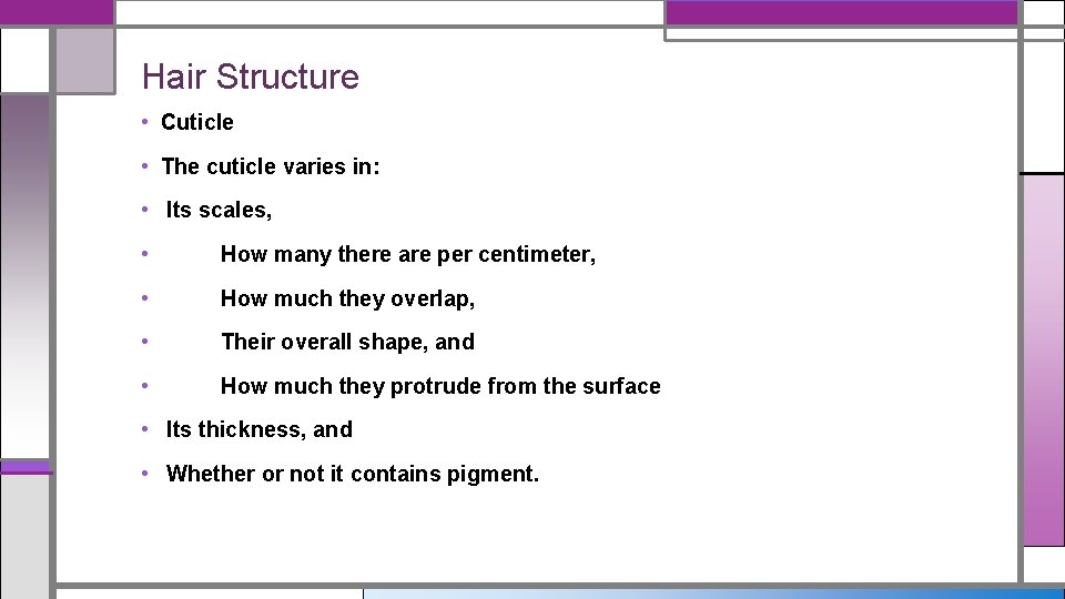 Hair Structure • Cuticle • The cuticle varies in: • Its scales, • How
