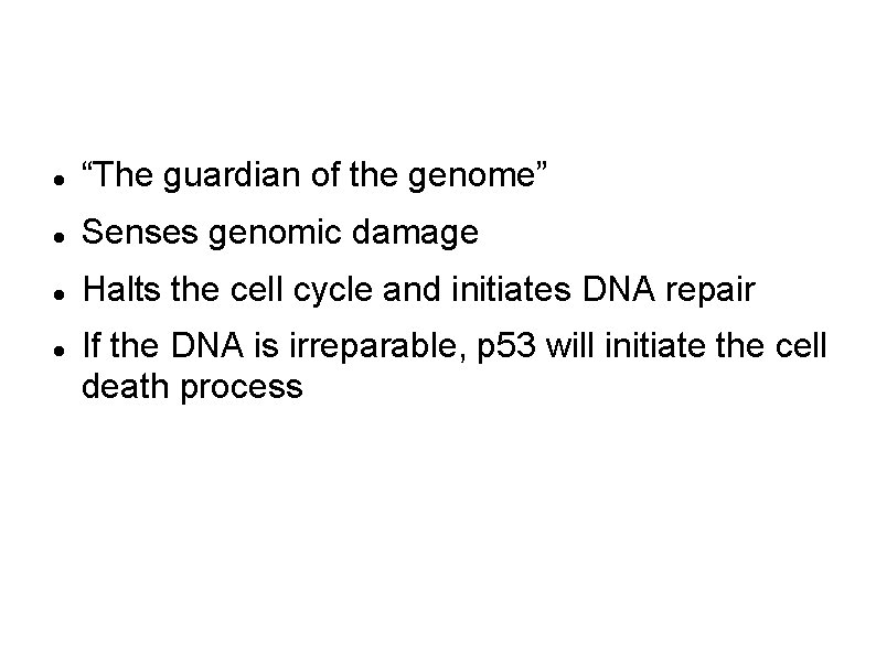 p 53—a classic tumor suppressor “The guardian of the genome” Senses genomic damage Halts