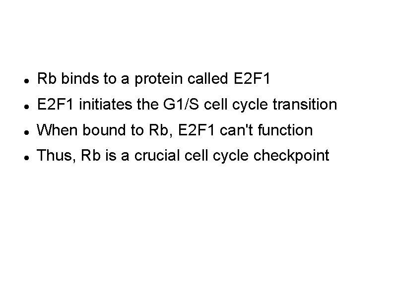 Rb—a classic tumor suppressor Rb binds to a protein called E 2 F 1