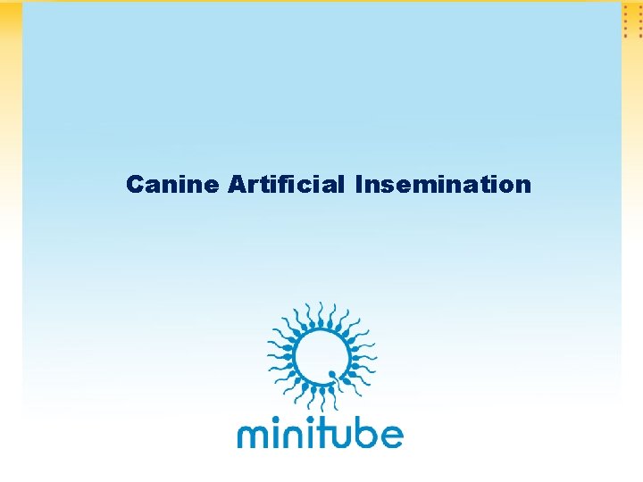 Canine Artificial Insemination 