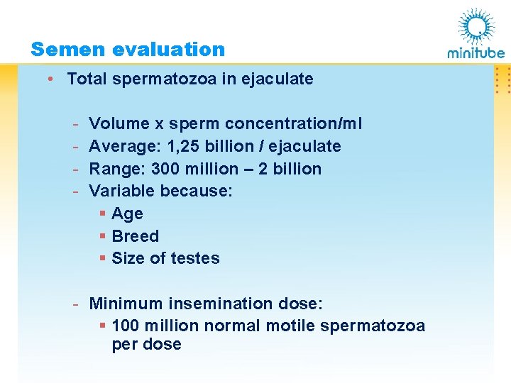 Semen evaluation • Total spermatozoa in ejaculate - Volume x sperm concentration/ml Average: 1,