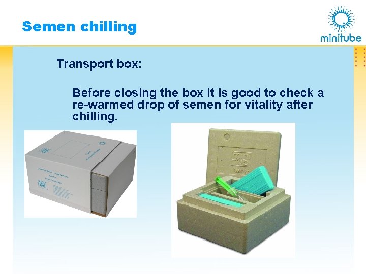 Semen chilling Transport box: Before closing the box it is good to check a