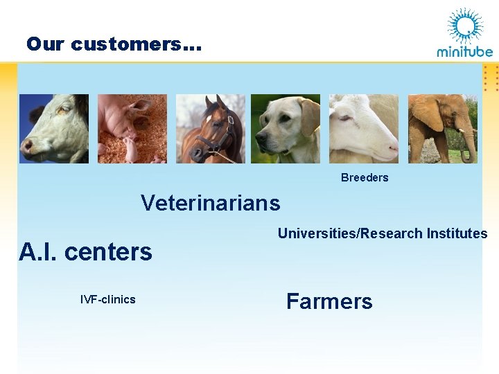 Our customers… Breeders Veterinarians A. I. centers IVF-clinics Universities/Research Institutes Farmers 
