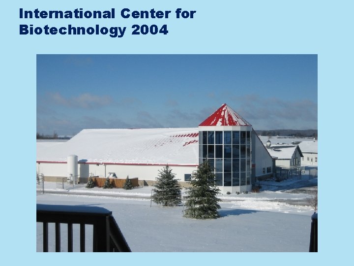 International Center for Biotechnology 2004 