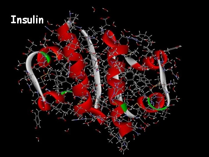 Insulin 